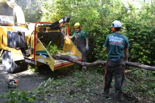 tree services Hedrick